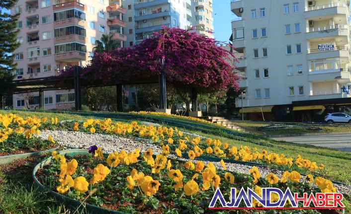 Mersin'de Caddeler Çiçek Açtı