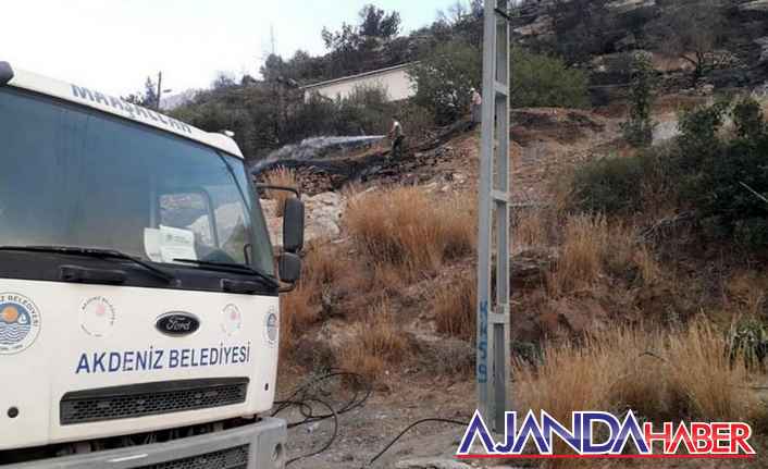 Akdeniz Belediyesi, Yangın Bölgesinde