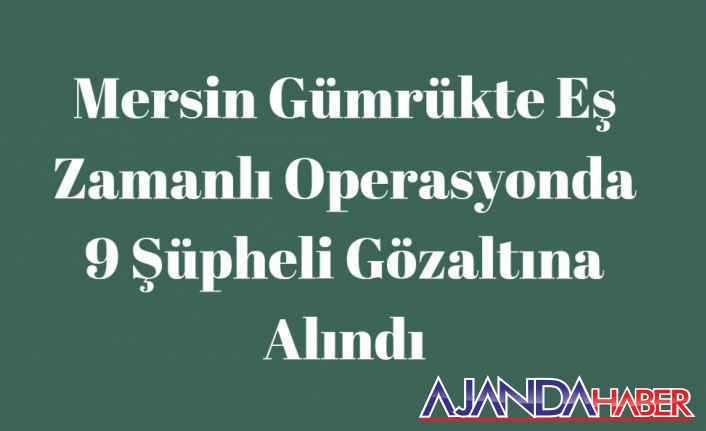 Mersin’de Gümrük yolsuzluğu 9 kişiye gözaltı