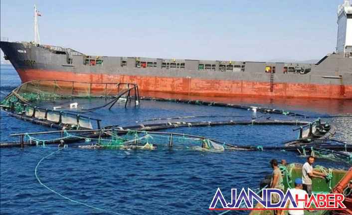 Muğla'nın Güllük Körfezi'nde kaza