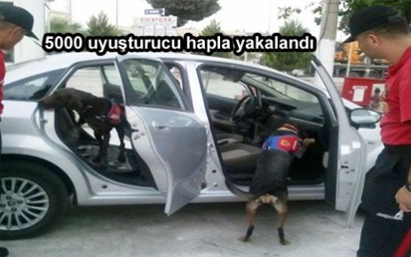 5 bin uyuşturucu hapla yakalandı