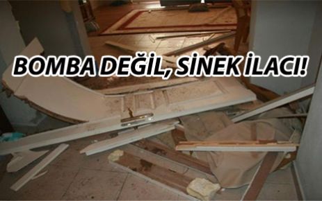 Bomba değil sinek ilacı