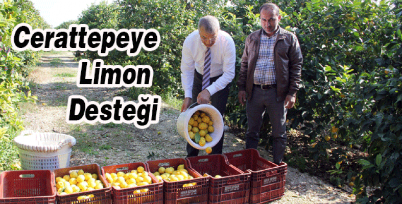 Cerattepeye Limon Desteği