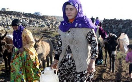 Her gün at ve eşekle su taşıyorlar!