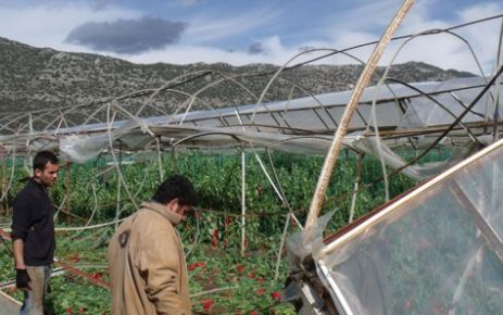 Hortum, Demre'de seraları yıktı