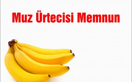 Muz Ürtecisi Fiyat Artışından Memnun