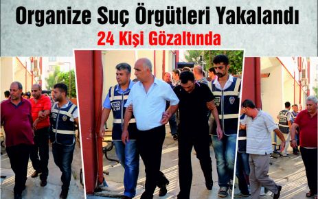 Organize Suç Örgütleri Yakalandı 