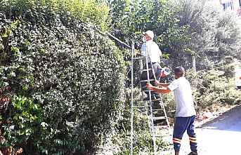 Akdeniz'de Park ve Bahçeler Bakımda