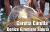  Caretta Carettalar Tehlike Saçmaya Başladı