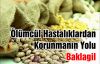 Ölümcül Hastalıklardan Korunmanın Yolu Baklagiller