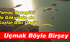 Yamaç Paraşütü İle Uçmanın Keyfi